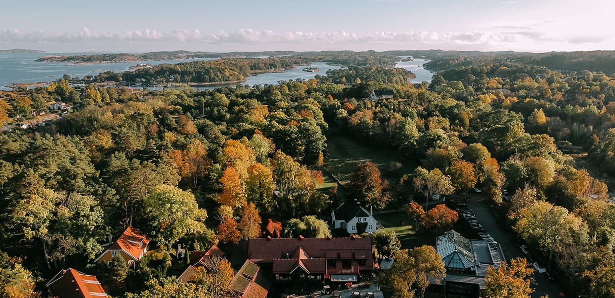 oversiktsbilde av skog med høstfarger